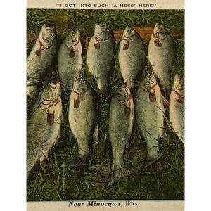 Vintage 1932 Lithograph Ephemera Postcard Humor Mess Of Fish Near Minocqua, WISC